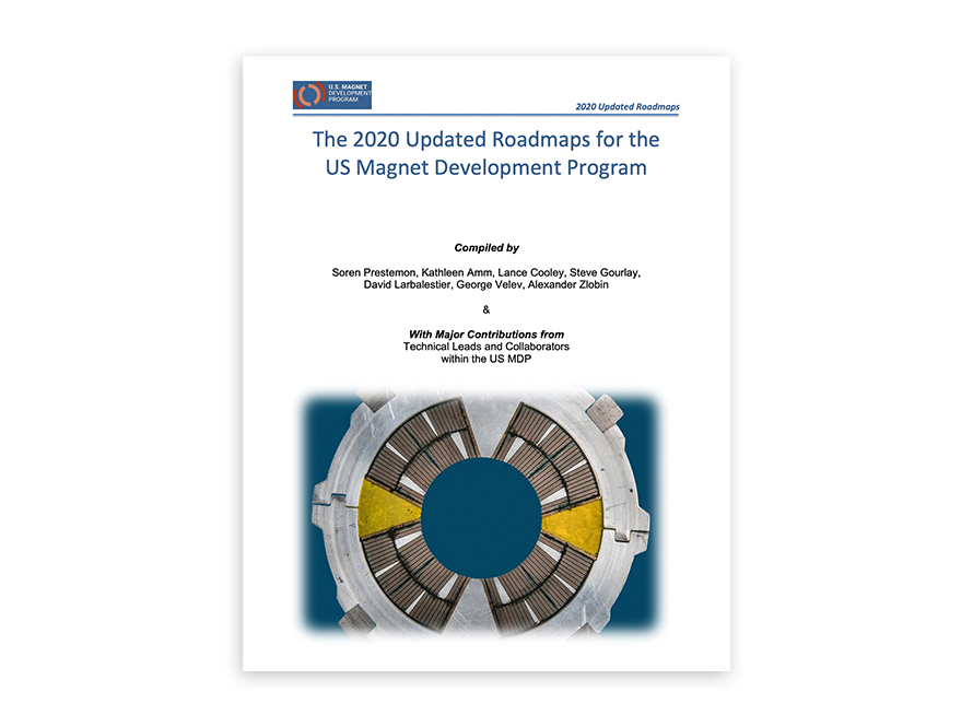 Cover of 2020 USMDP Program Plan